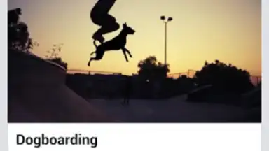 AVD Android Video Downloader screenshot 3
