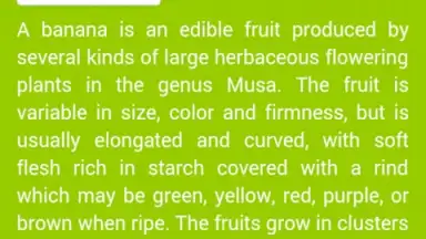 Food Dictionary screenshot 3