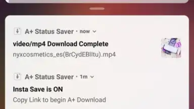 A+ Status Saver screenshot 1