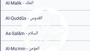 Halal Check screenshot 1