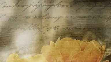 Secret Notes screenshot 7