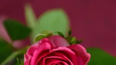 Secret Notes screenshot 6