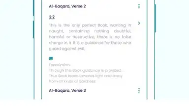 The Holy Quran - English screenshot 3