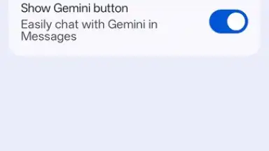 Google Messages screenshot 20