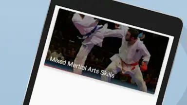 Ultimate MMA Fighting Program screenshot 6