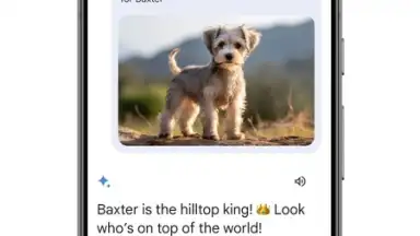 Google Gemini screenshot 8