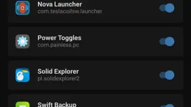 Magisk Delta screenshot 2
