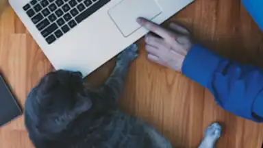 Moje VZP screenshot 7