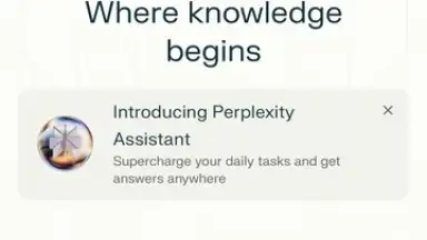 Perplexity screenshot 1