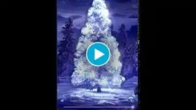 3D Player screenshot 1