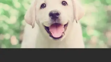 YouCam Perfect screenshot 2