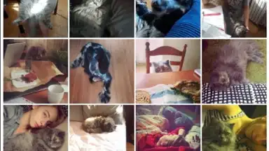 WeLine screenshot 7