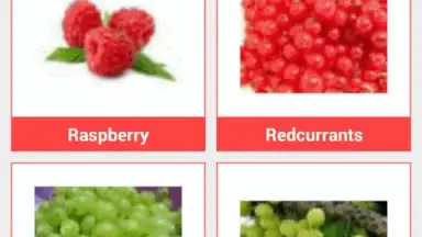 Food Dictionary screenshot 4