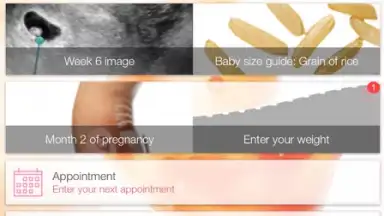 Pregnancy + screenshot 10