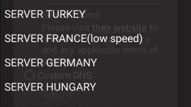 DNS-TM screenshot 1