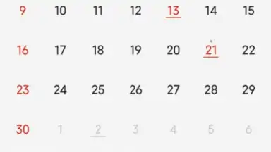 Mi Calendar screenshot 2