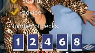 Vegas Strip - BlackJack screenshot 1