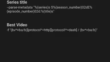 YTDLnis screenshot 14