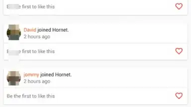 Hornet screenshot 7