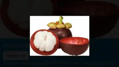 Food Dictionary screenshot 8