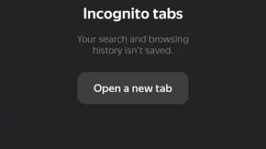 Yandex screenshot 6