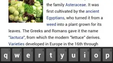 Orweb: Private Web Browser screenshot 2