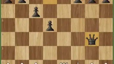Chess - Play and Learn screenshot 9