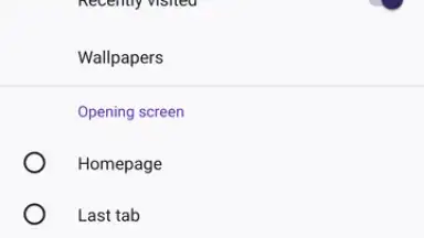 Firefox screenshot 2