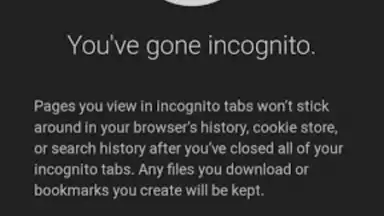Chrome Beta screenshot 17