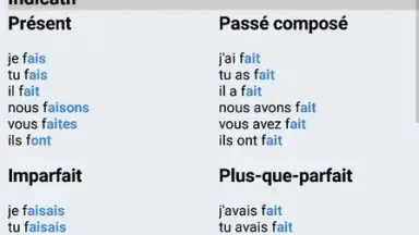 Le Conjugueur screenshot 7