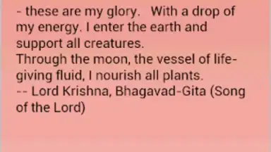 Daily Hindu Prayers screenshot 9