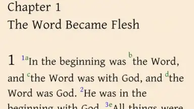 Bible Study screenshot 4