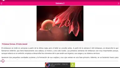 Semanas Embarazo screenshot 12