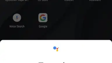 Google Assistant screenshot 14