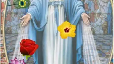 Virgin Mary screenshot 4