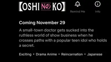 Netflix screenshot 20