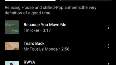 Vanced Music screenshot 5