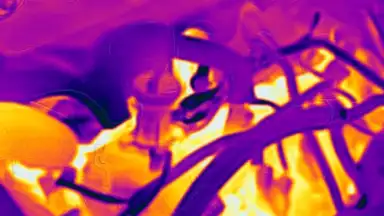 FLIR ONE screenshot 1