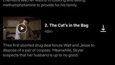 Netflix (Android TV) screenshot 16