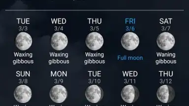 Digital Clock & World Weather screenshot 3