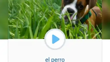 Busuu screenshot 7