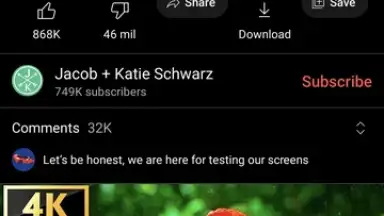 ReVanced Extended screenshot 6