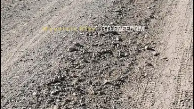 DJI Mimo screenshot 4