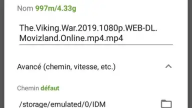IDM (internet download menager) screenshot 2