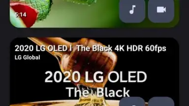 YTDLnis screenshot 1