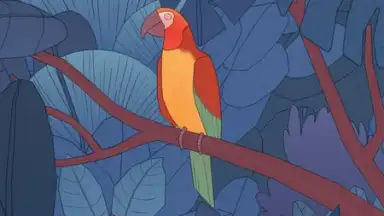 Bird Alone screenshot 4