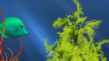 Tropical aquarium screenshot 2