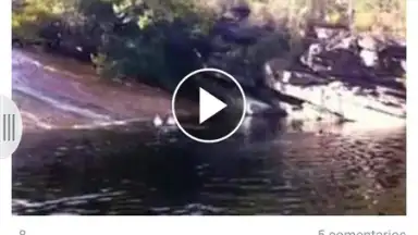 Appbloo FB Video Downloader screenshot 1