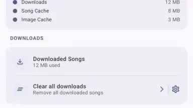 VIVI Music screenshot 13