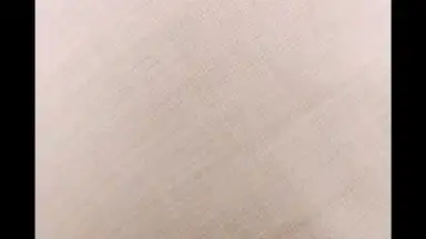 HedgeCam 2 screenshot 1